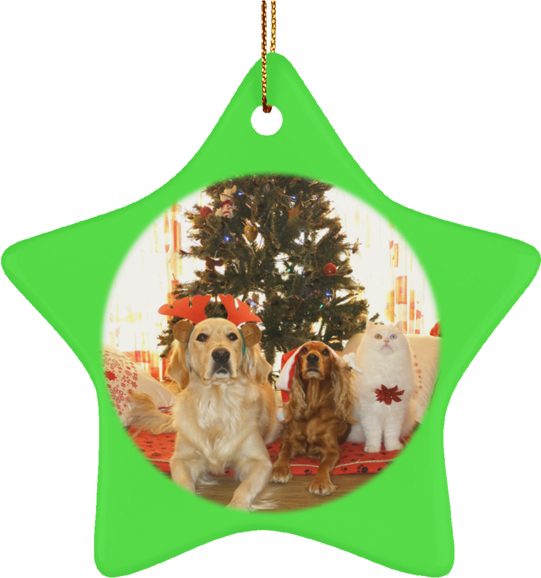 Pet Christmas Tree Ornament Cat Gift Crafted Holiday - Christmas Pets Acrylic Keychain, Adult Unisex, Floral (1155x1155)