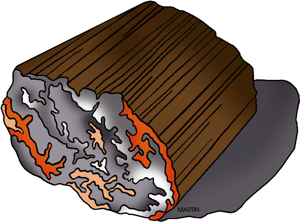 Petrified Wood - Petrified Wood (648x485)