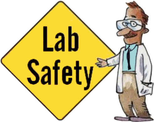 All Lab Work And Experiments Were Done According To - Safety In The Lab (540x436)