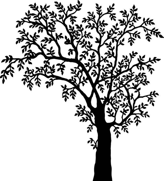 Tree Line Art 17, - Tree With Leaves Silhouette (653x720)