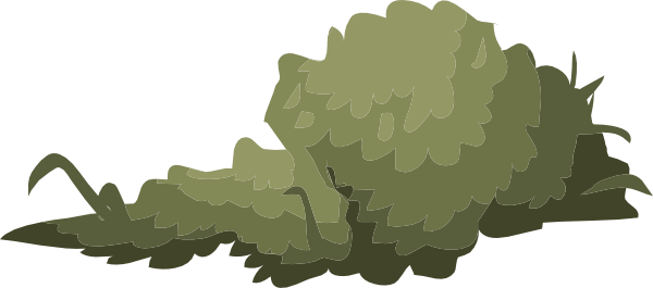 This Free Clip Arts Design Of Mountain Flora - Bushes Drawing (800x354)