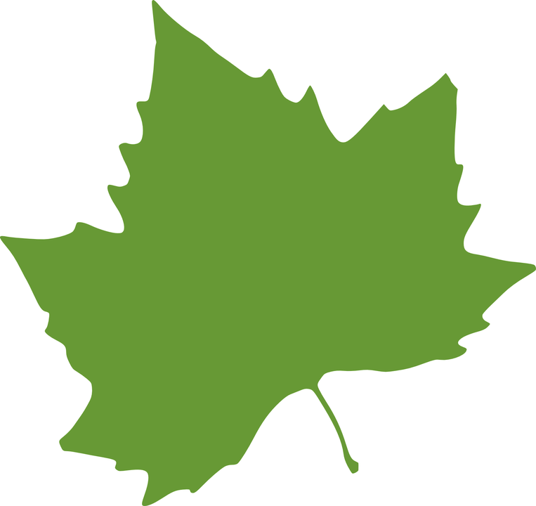 Maple Leaf Clipart Colorful Leave - Autumn Leaves Clip Art (763x720)