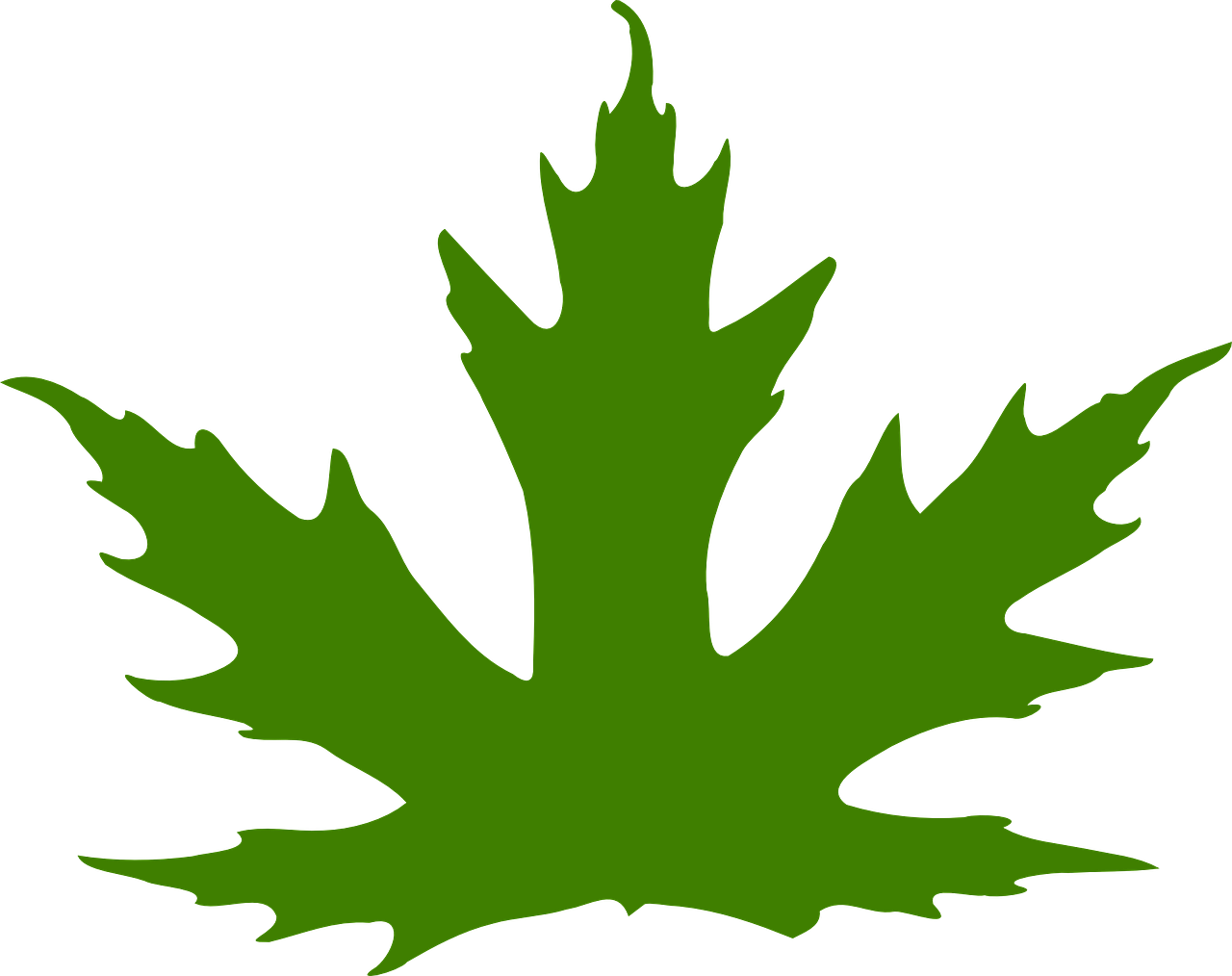 Leaf Maple Leaf Maple Nature Png Image - Maple Leaf Clip Art (1280x1014)