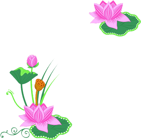 Nelumbo Nucifera Clip Art - Nelumbo Nucifera Clip Art (634x830)