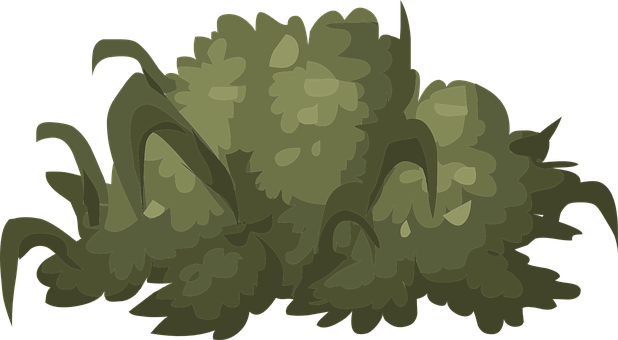 This Free Clip Arts Design Of Mountain Flora - Blackthorn Bush Art Png (618x340)