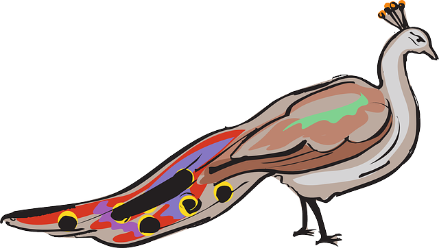 Feathers Wings, Art, Peacock, Colorful, Animal, Tail, - Tavuskuşu Png (640x362)