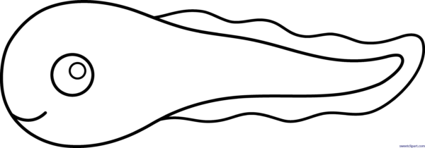 Sweet Clip Art - Tadpole Clipart Black And White (600x210)