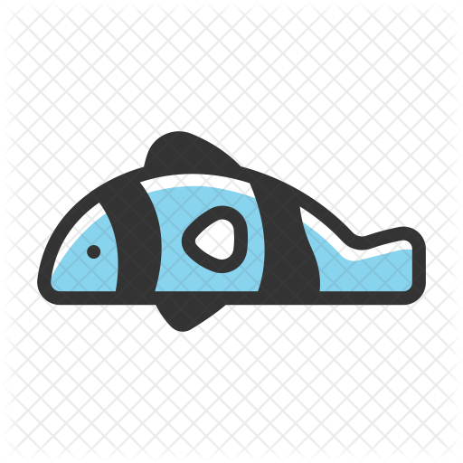 Clown Fish Icon - Clownfish (512x512)