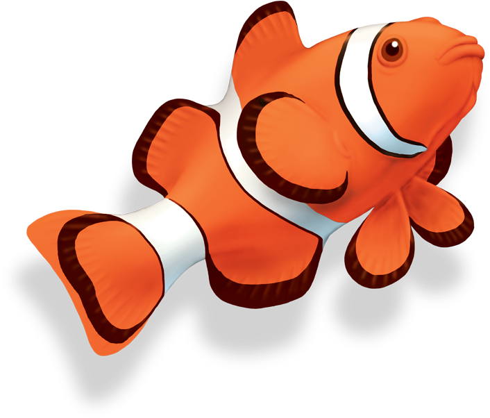 Clown Fish - Clown Fish Png (740x740)