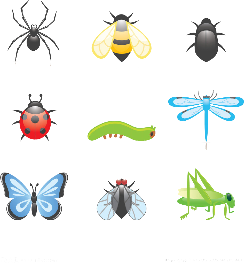 Beetle Cartoon Clip Art - Beetle Cartoon Clip Art (951x1024)