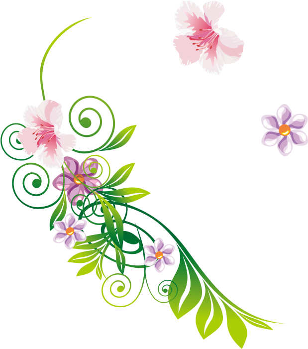 Peach Blossom Peach Blossom Clip Art - Peach Blossom Peach Blossom Clip Art (800x800)