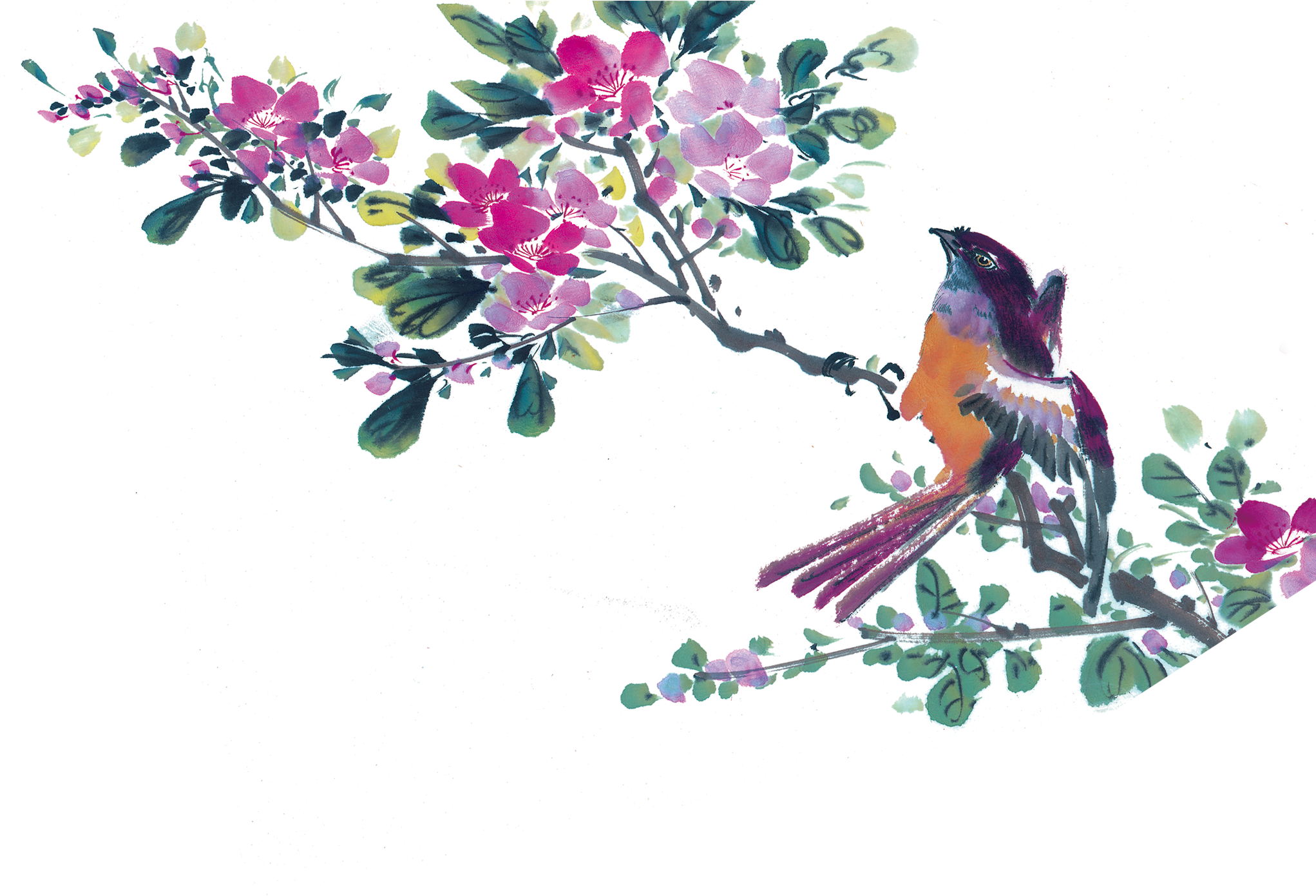 Eurasian Magpie Clip Art - Eurasian Magpie Clip Art (2500x2500)