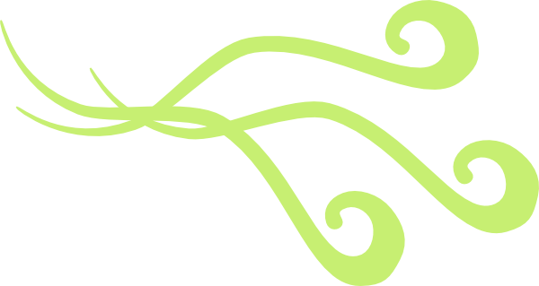 Free Green Flourish Cliparts, Download Free Clip Art, - Clip Art (600x319)