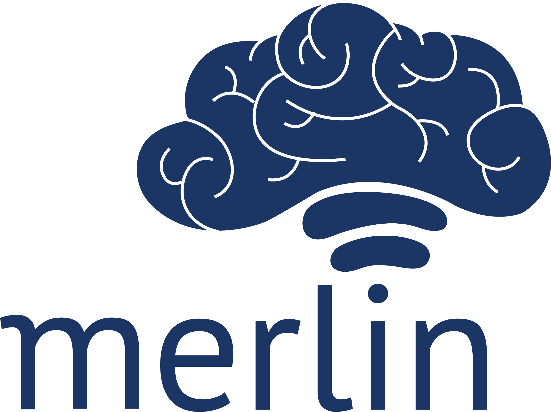 Merlin Neurotech - Merlin Neurotech (2249x1682)
