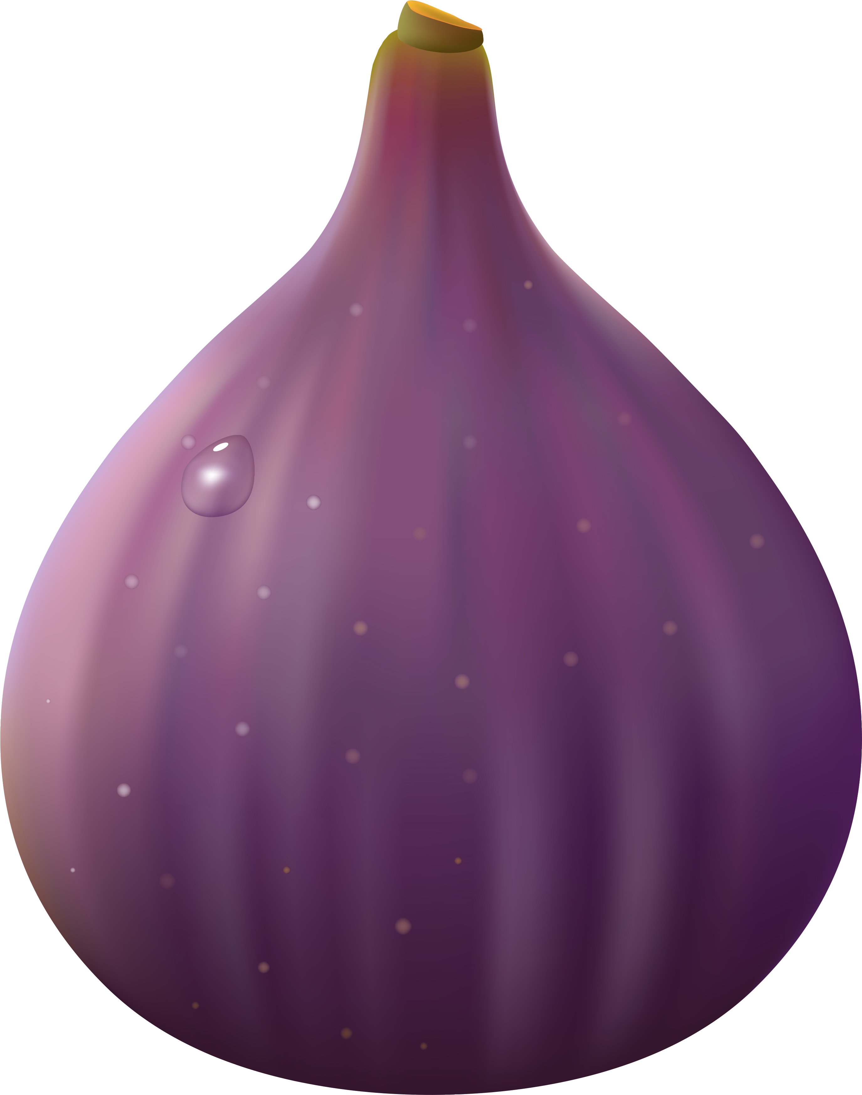 Mission Fig Clip Art - Mission Fig Clip Art (3072x3642)