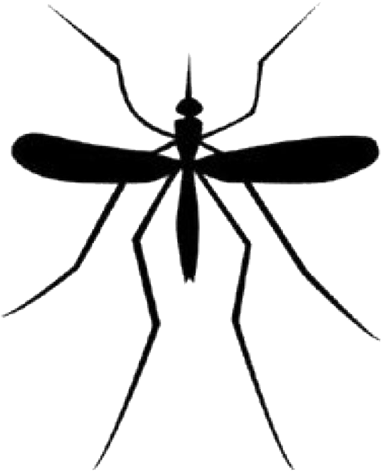 Mosquito Clipart Transparent - Mosquito Tattoo (698x777)