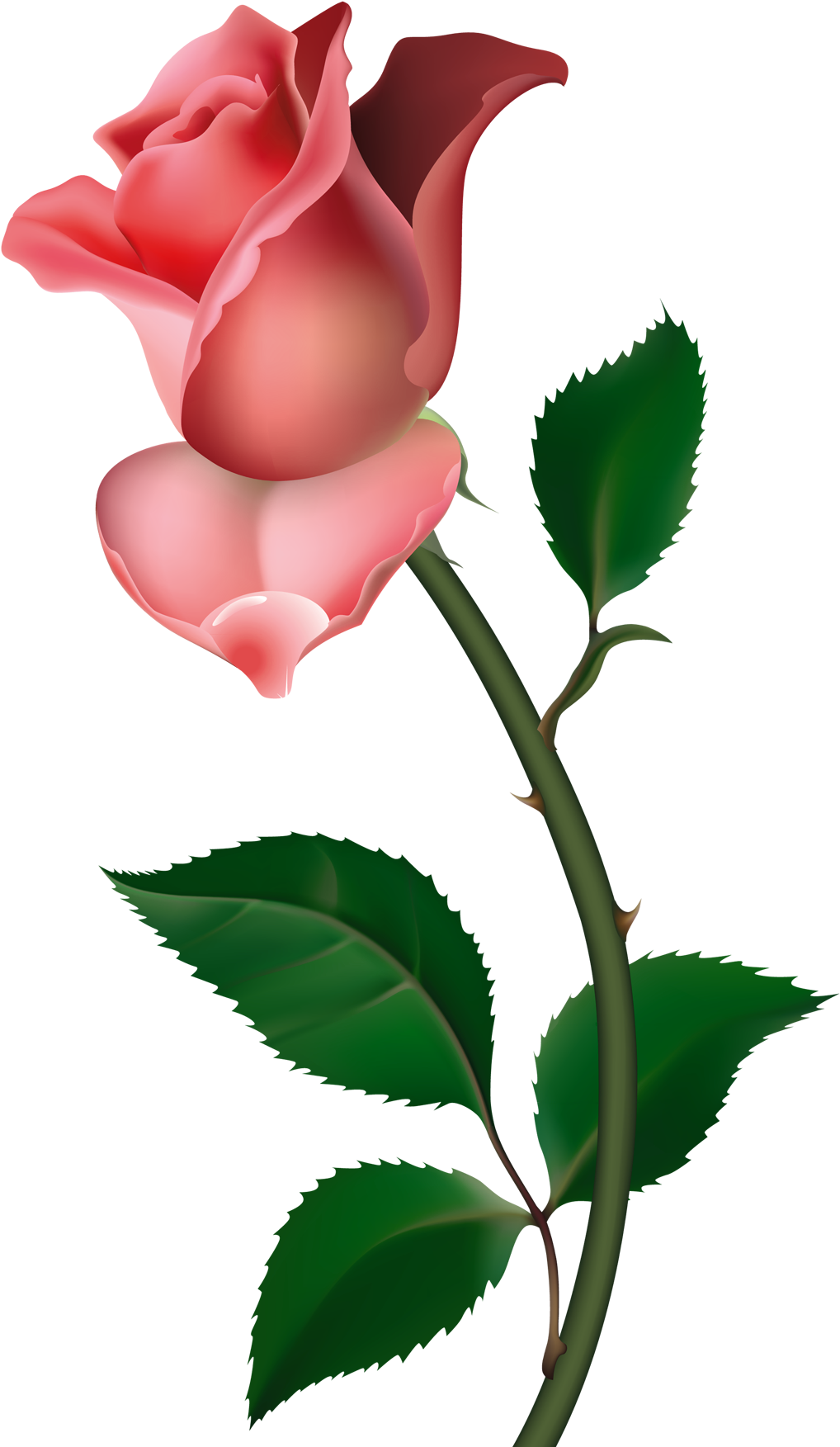 Roses Free Rose Clipart Public Domain Flower Clip Art - All About Grief [book] (1080x1778)