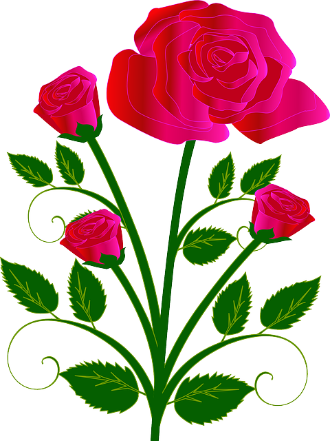 Bouquet, Flower, Rose, Red, Love Sponsored - Rose Drawings With Color (480x640)