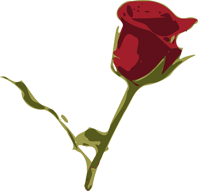 Red Rose, Rose, Flower, Red, Rosa, Plant Sponsored - Rosa Roja Flor Png (640x617)