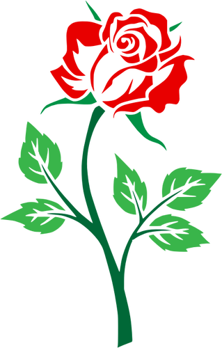 Colored Rose - Roses Clipart No Background (319x500)