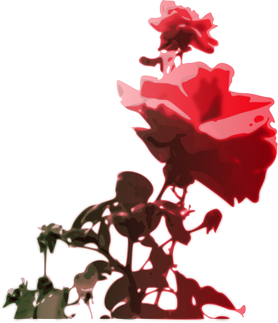 Red, Flower, Pink, Rose, Color, Gift, Bloom, Nature - Roses Clipart (551x640)