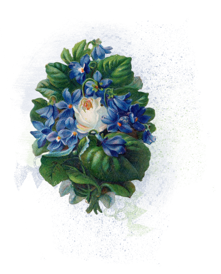 Flower Public Domain Desktop Wallpaper Clip Art - Flower Public Domain Desktop Wallpaper Clip Art (750x930)