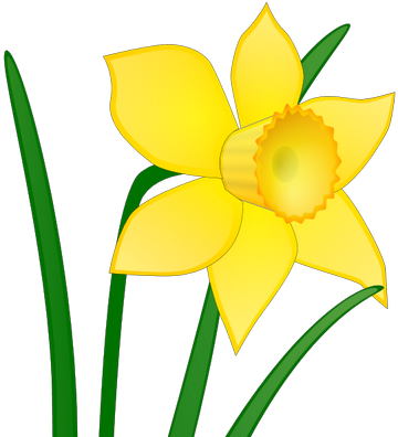Bargoed Bowling Club - Daffodil Clip Art (400x400)