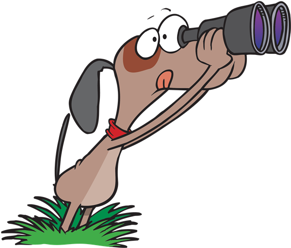 Dog Looking Through A Pair Of Binoculars - Looking Ahead Clip Art (600x511)