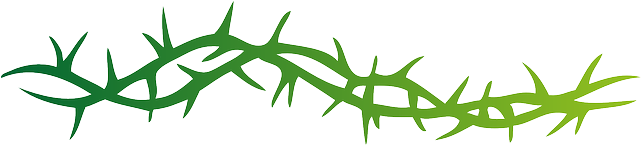 Flower Border Png - Arm Band Tribal Tattoo (640x320)