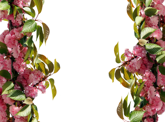 Roses-2761630 - Bingkai Mawar Merah (548x406)