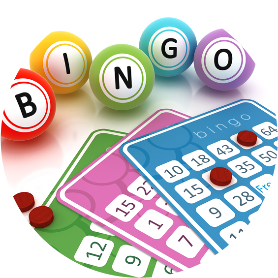 Bingo - Bingo (600x600)