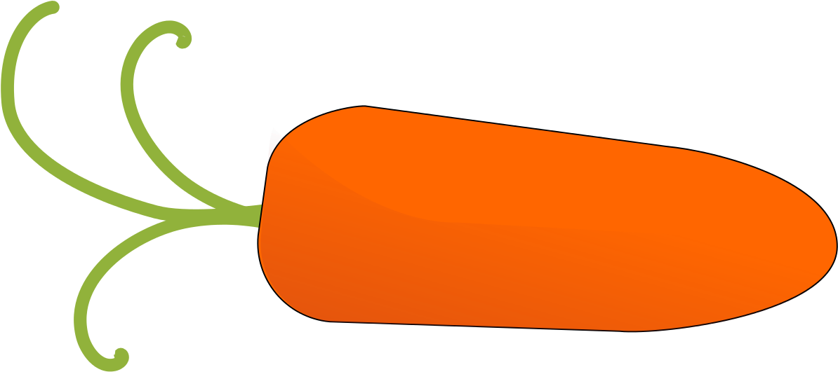 Carrot Vegetable Arracacia Xanthorrhiza Clip Art - Carrot Clip Art (1200x541)