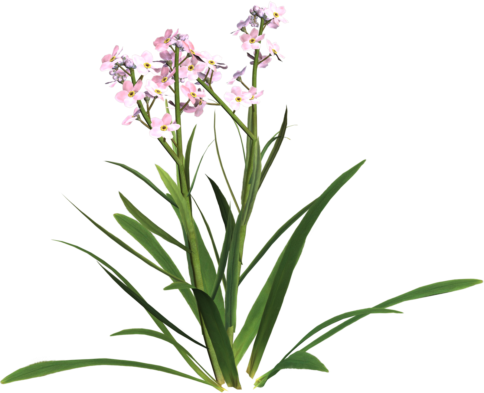 Sympathy Clipart Free - Sympathy Clipart Free (1600x1600)