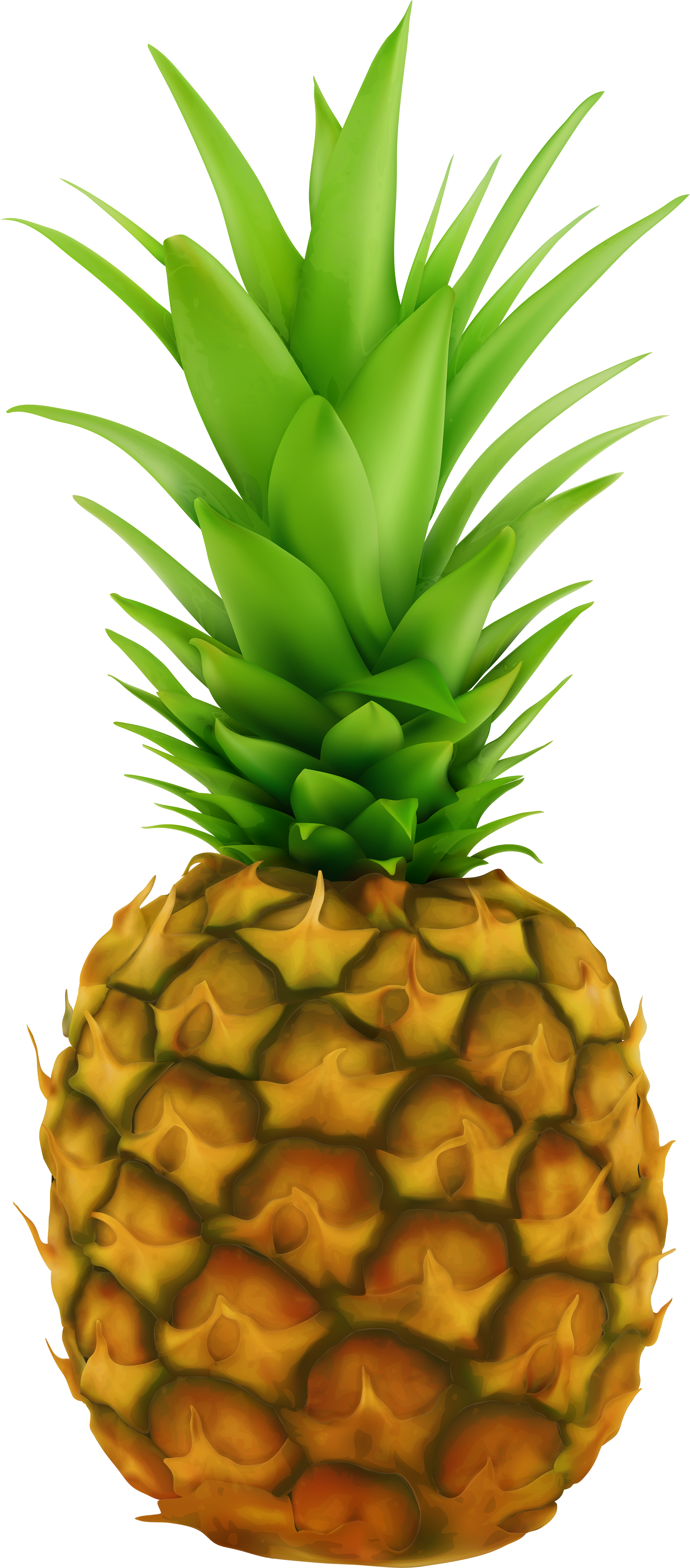 Pineapple Transparent Clip Art Image - Pineapple With Clear Background (2666x6000)