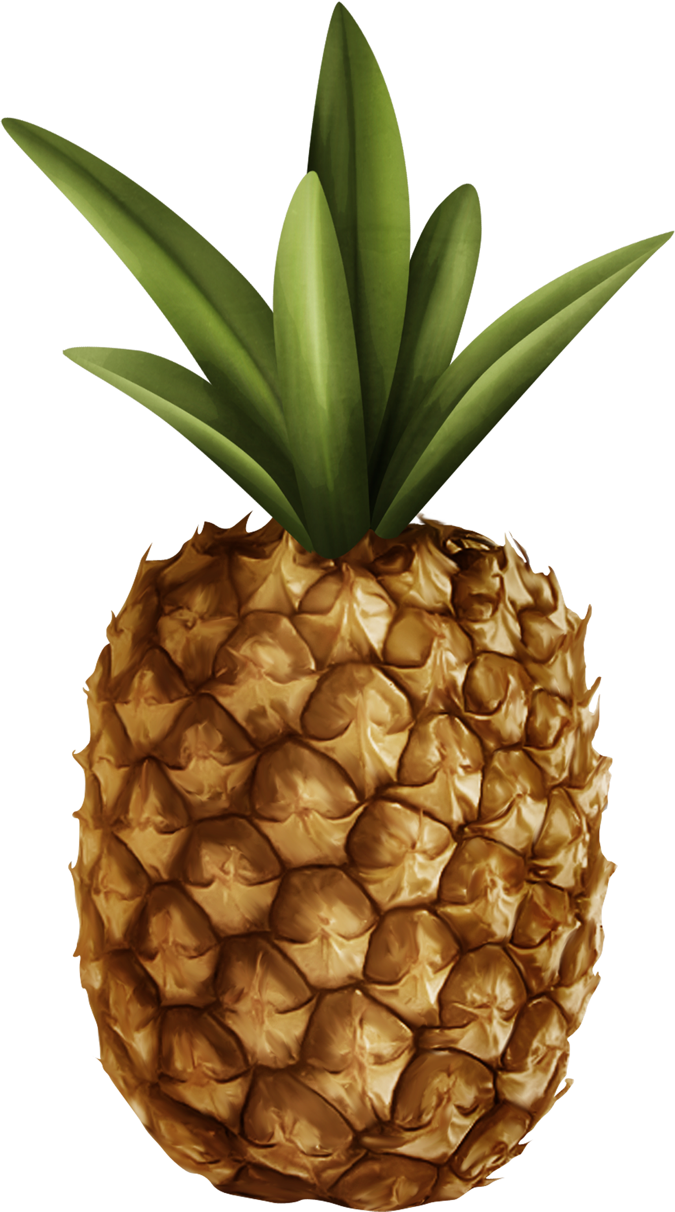 Pineapple Png Clipart - Pineapple (1391x2500)