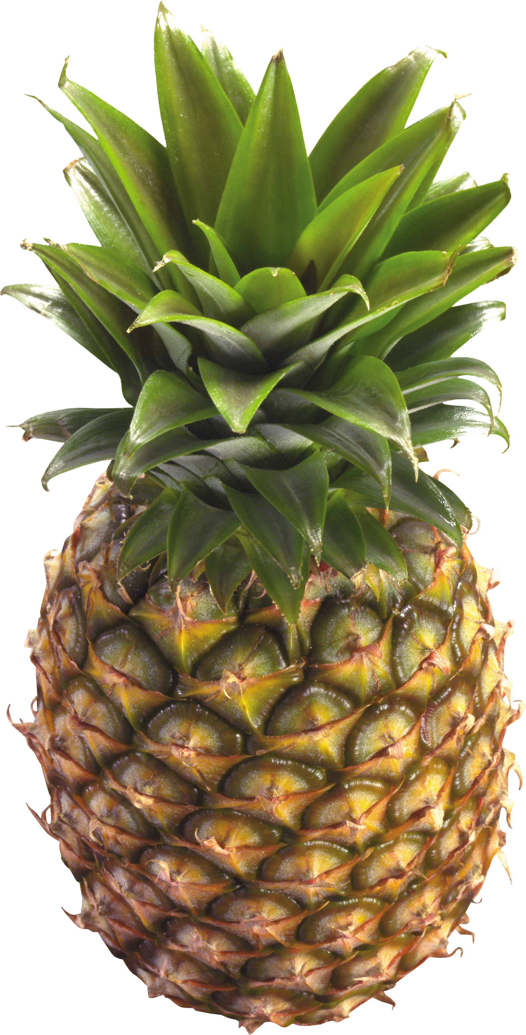 Fruit Clipart With Clear Background - Pineapple Png (1768x3475)