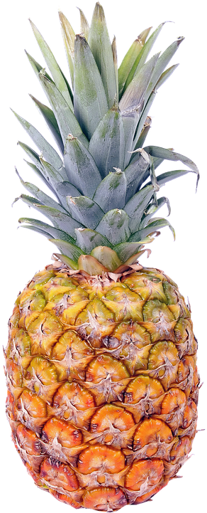 Pineapple Png 17, Buy Clip Art - Pineapple Png (299x720)