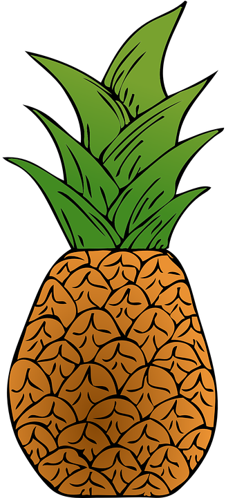 Green Pineapple Cliparts 7, - Custom Pineapple Shower Curtain (360x720)