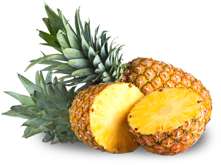 Pineapple Slices Png Iqf Pineapple - L Ananas (450x348)