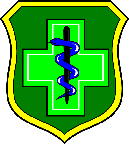 Medical Logistics Clip Art - Star Of Life (534x597)