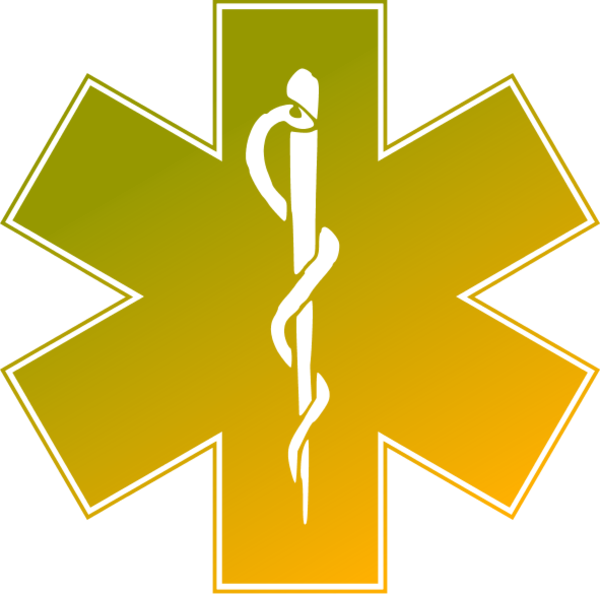 Ems Emergency Medical Service Logo Clipart - Emergency Medical Services (600x594)