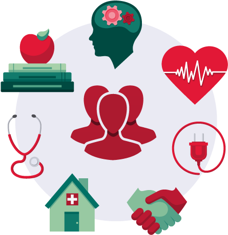 Medical / - Market Segmentation (450x475)