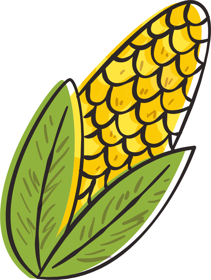 Chapeu Png, Milho Png, Pipoca Png, Viola Png Bandeirinhas - Chapeu Festa Junina Png (820x1088)