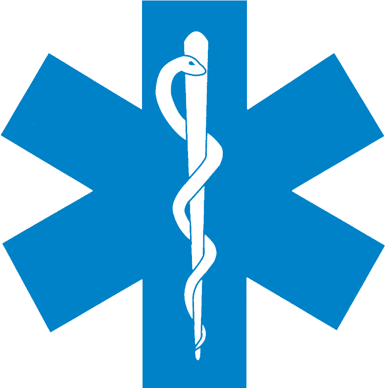 Star Of Life Logo - Logo Of Star Of Life (2000x1600)