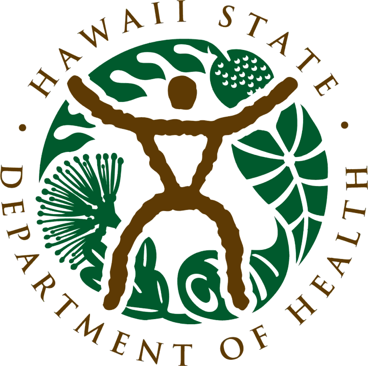 Hawaii State Department Of Health Logo - Department Of Health Hawaii (1284x1280)
