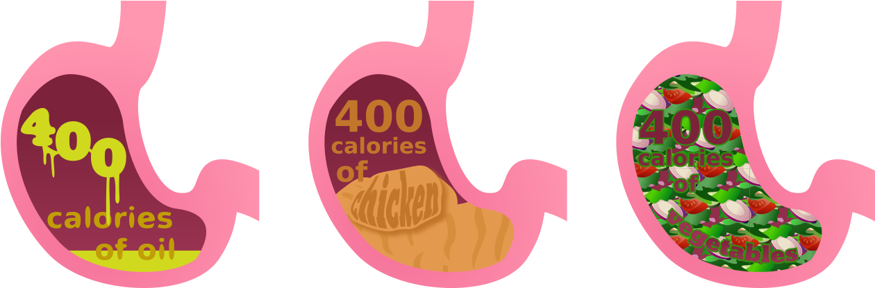 Great Way To Visualize Calorie Density - Can Your Stomach Shrink (1283x423)