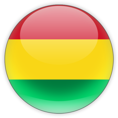 Bolivia - Bolivia Flag Icon Png (640x480)