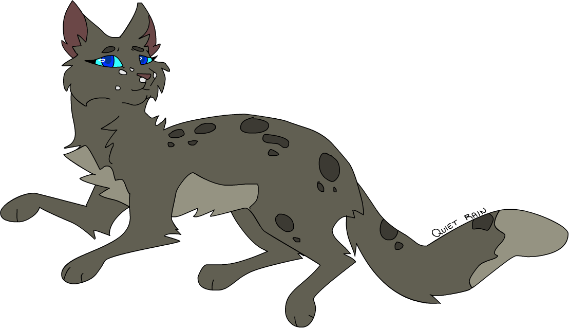 Warrior Cats Quiet Rain (1108x638)