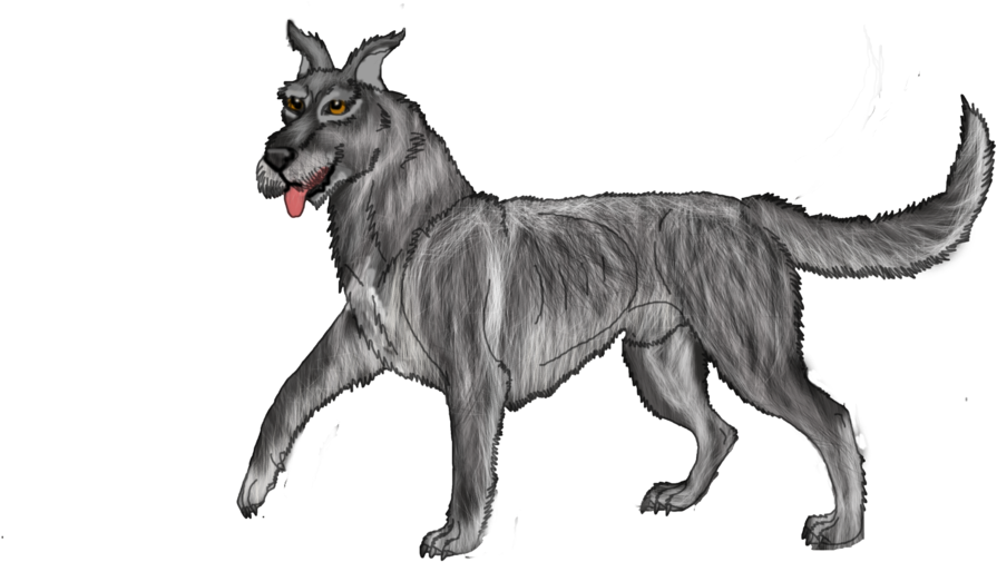 Mixed Breed Great Dane X Irish Wolf Hound Open By Lighteningfox - Irish Wolfhound (1024x512)