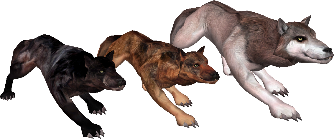 Oblivion Wolf (1213x549)